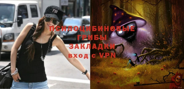 амф Няндома