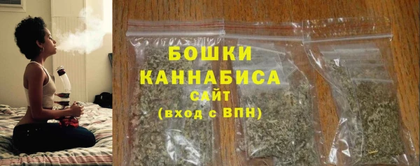 амф Няндома
