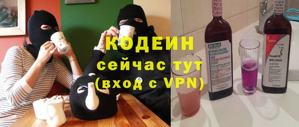 индика Воткинск
