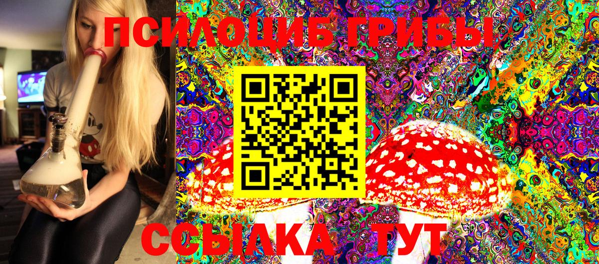 Галлюциногенные грибы Cubensis  Вход с VPN  закладка  Партизанск 