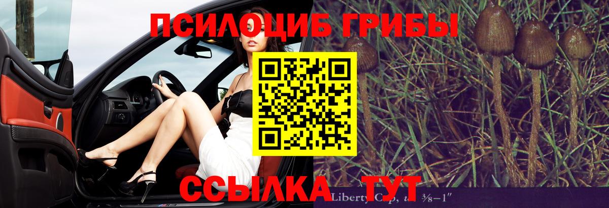 Галлюциногенные грибы Magic Shrooms Партизанск